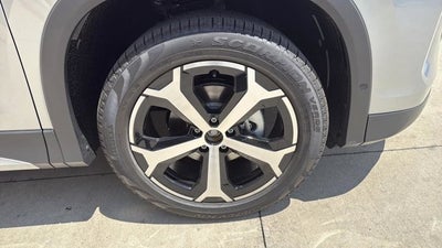 2025 Volkswagen Tiguan SE