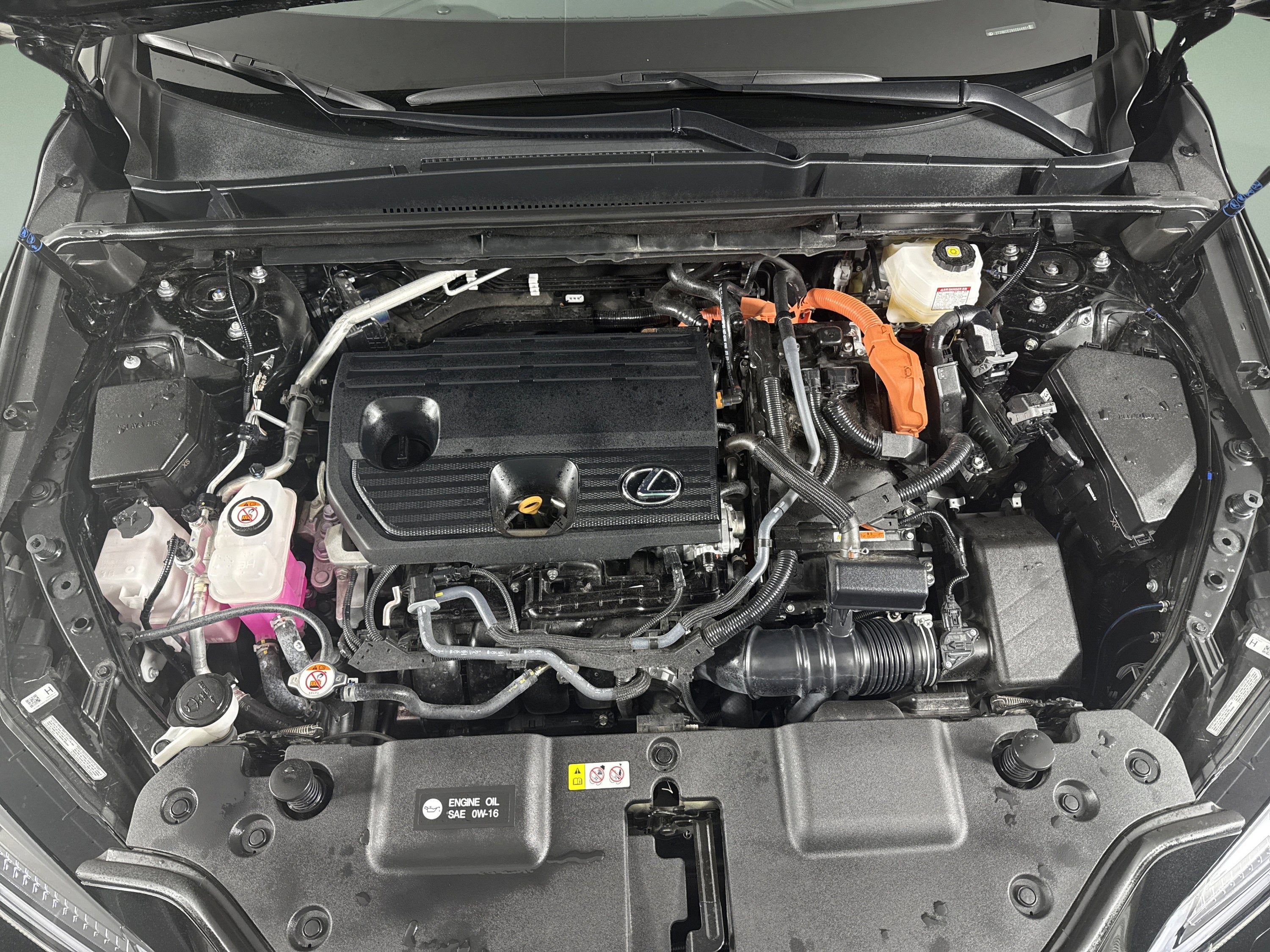2025 Lexus NX NX 350h Luxury