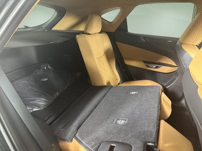 2025 Lexus NX NX 350h Luxury