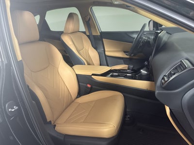 2025 Lexus NX NX 350h Luxury