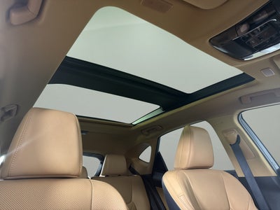 2025 Lexus NX NX 350h Luxury