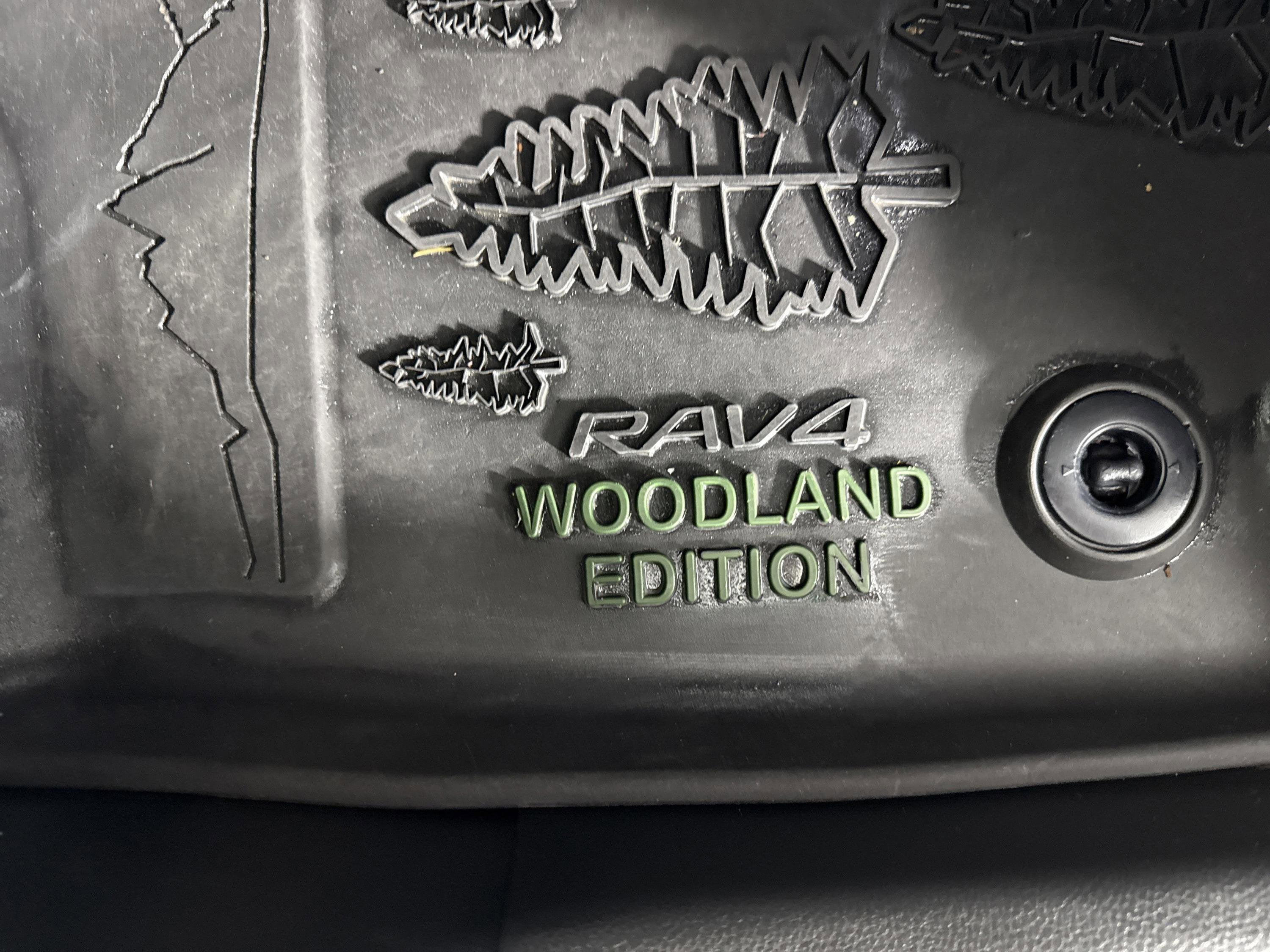 2024 Toyota RAV4 Hybrid Woodland