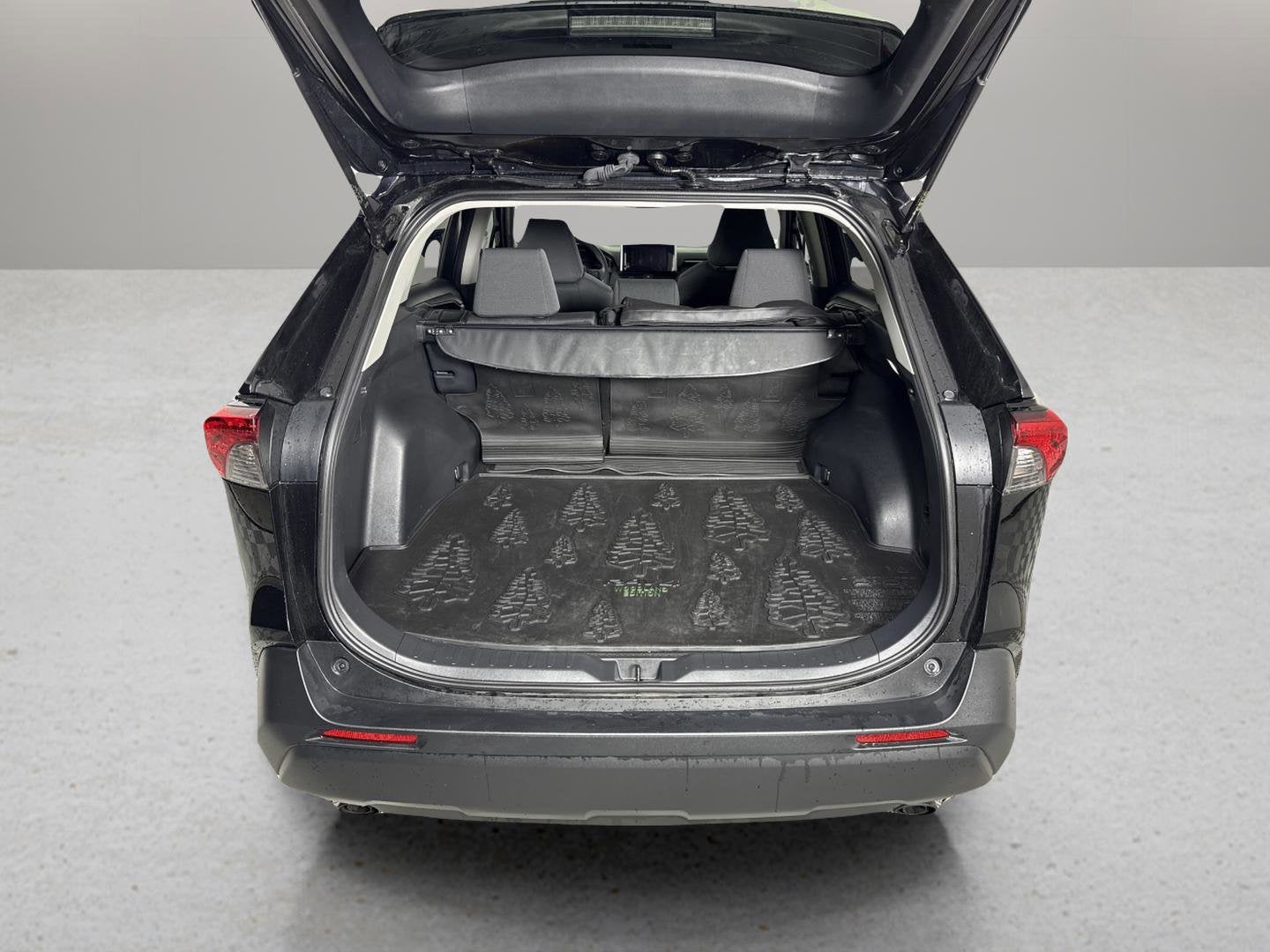 2024 Toyota RAV4 Hybrid Woodland